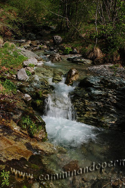 09 03653 Torrente Edra.JPG